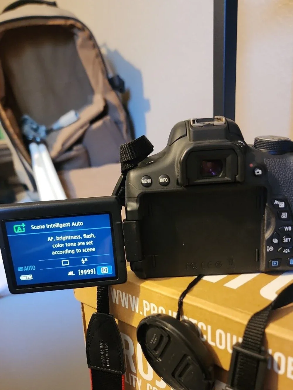 Canon eos rebel